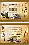 中医宣传 展板 挂画