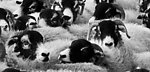 无滚动条左右拖拽