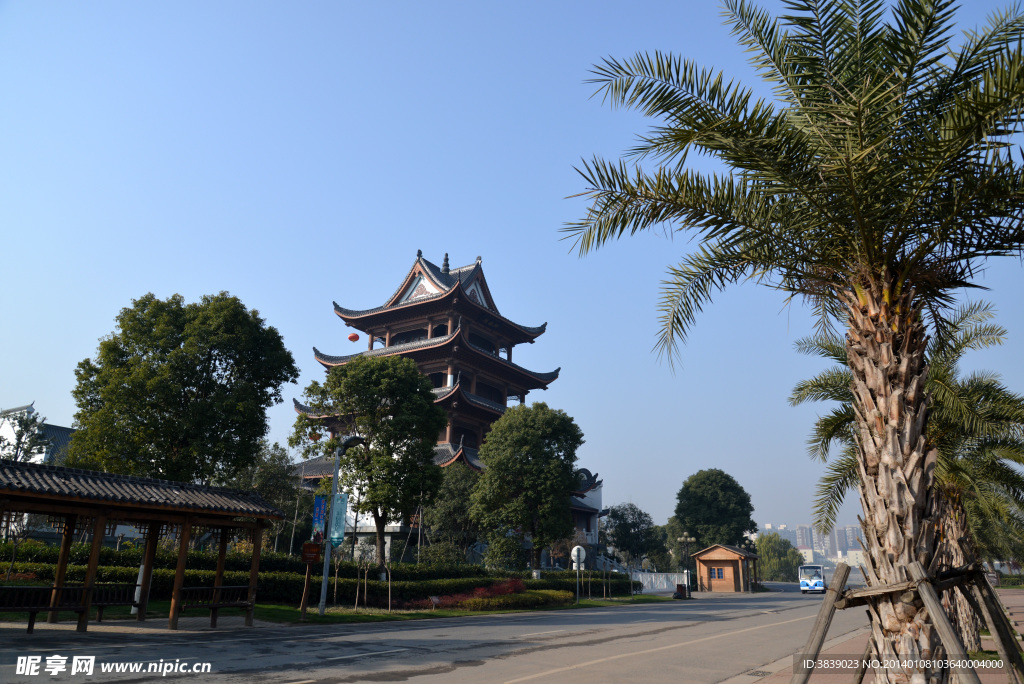 橘子洲风光