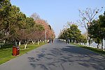 橘洲景观大道