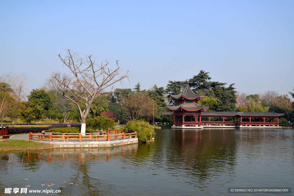 橘子洲风光