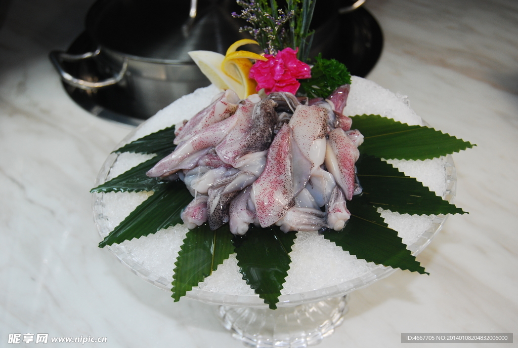 海兔姿造