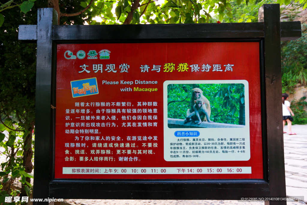 云台山狝猴谷