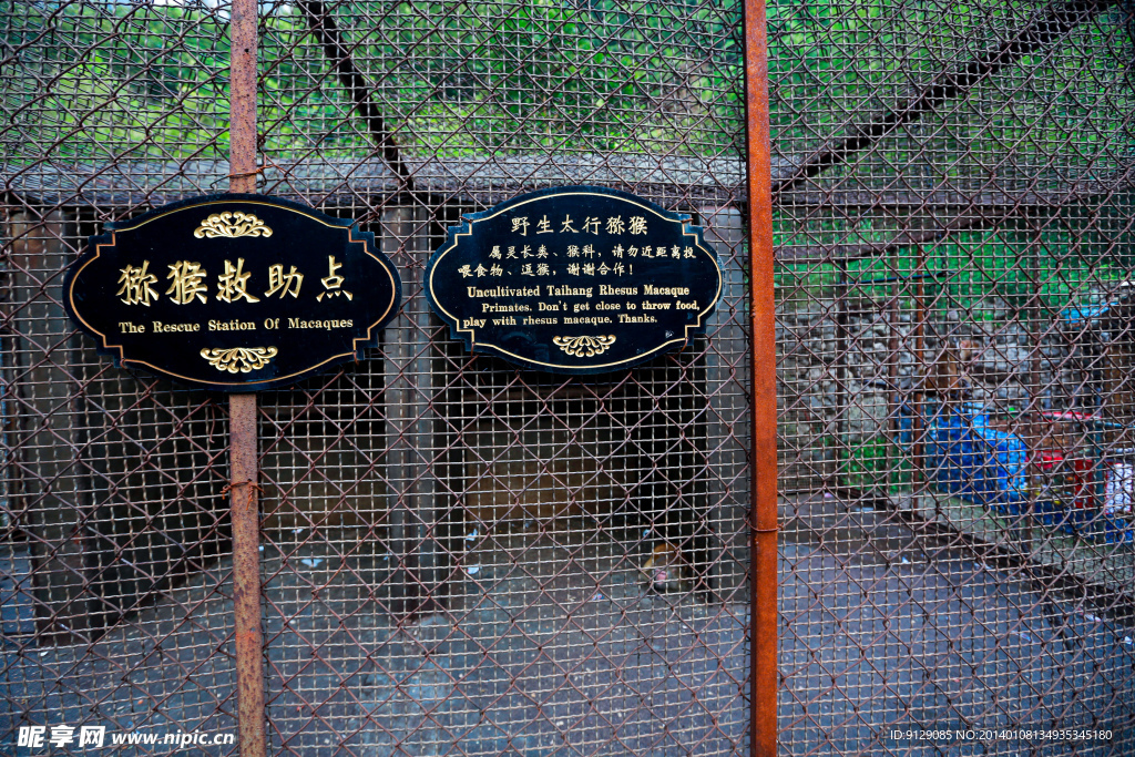 云台山狝猴谷