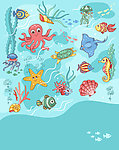 海洋生物