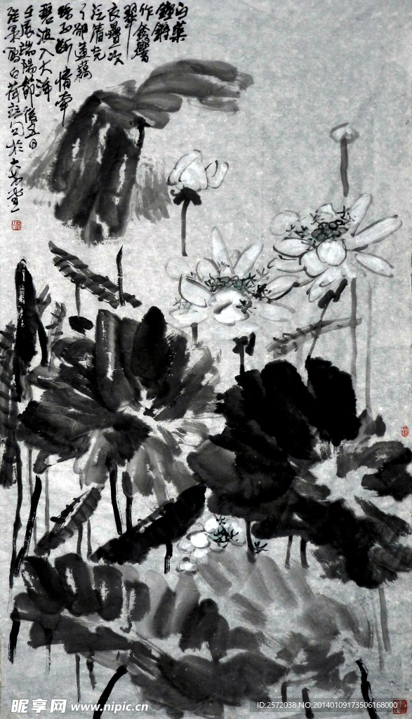 白荷