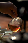 泛金光红茶