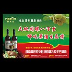 猕猴桃酒