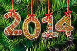 2014年新年