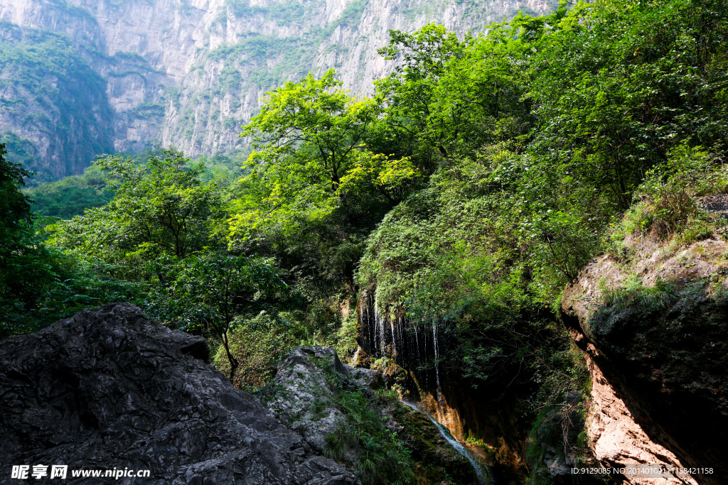 云台山潭瀑峡