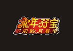 龙年孖宝