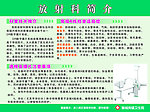放射科版面