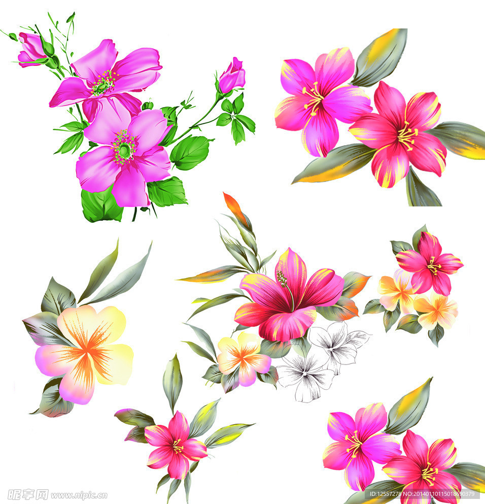 花纹
