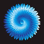 花纹