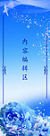 蓝牡丹