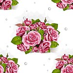 玫瑰花