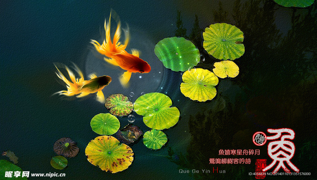 鱼 金鱼
