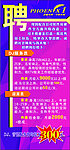 招聘广告