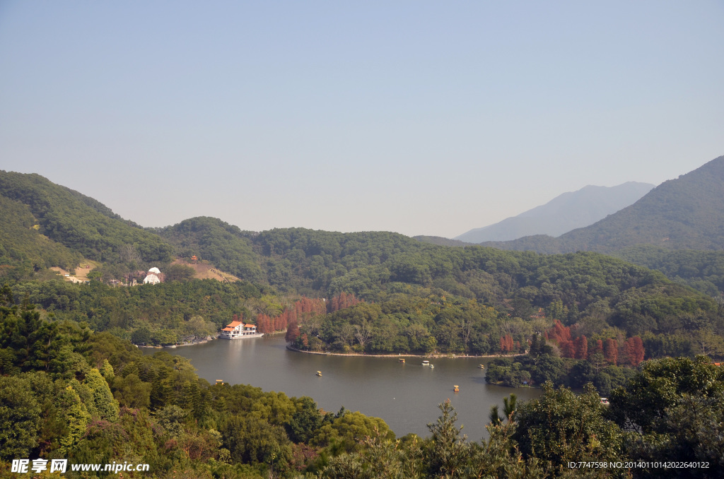 仙湖植物园俯视图