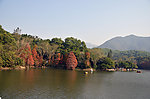 红树湖水
