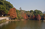 小桥湖水