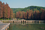 青山红树绿水