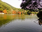 仙湖植物园