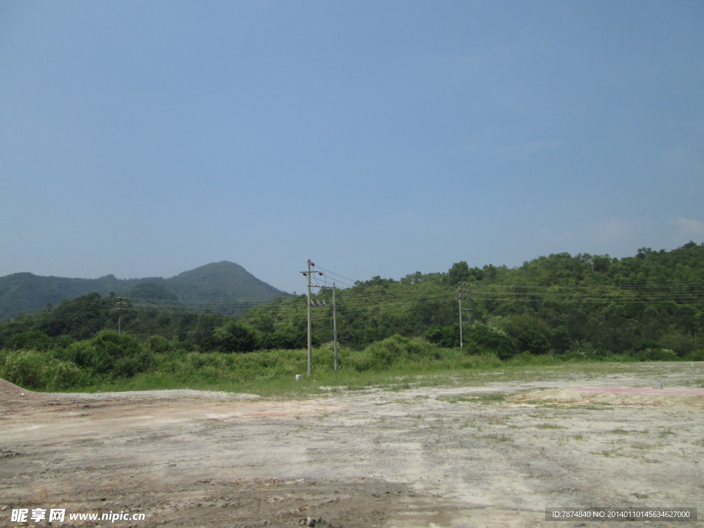 田野