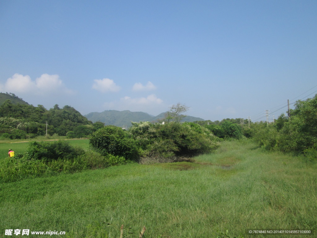 田野
