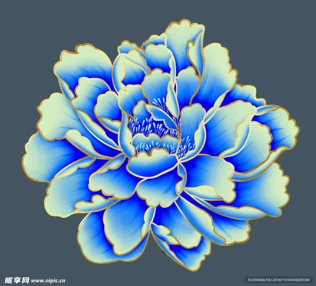 蓝牡丹花