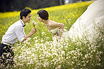 婚纱摄影