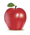 红苹果 Apple