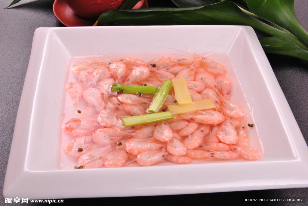 小白虾