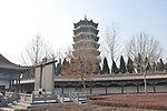 塔林