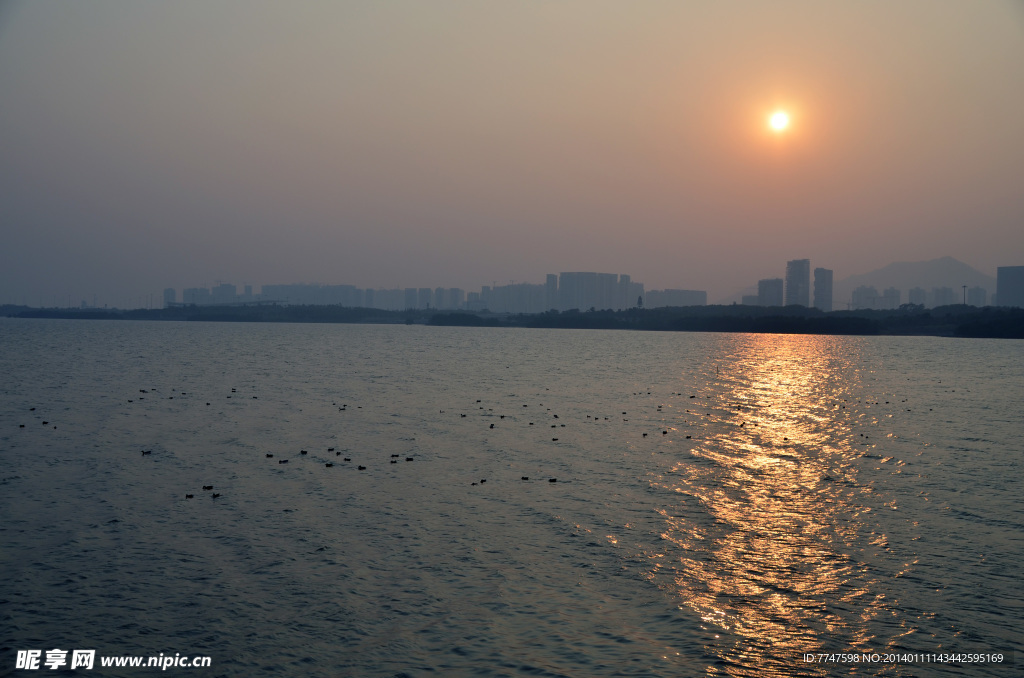 夕阳落日