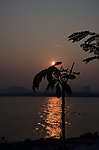 夕阳剪影