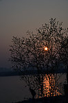 红树林海岸线夕阳西下