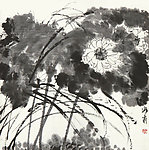 荷香满溢