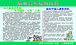 内科版面