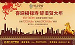 新年报广