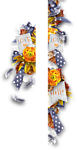 移门花朵