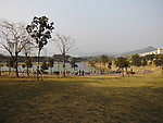 草地风景