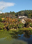 土楼新村