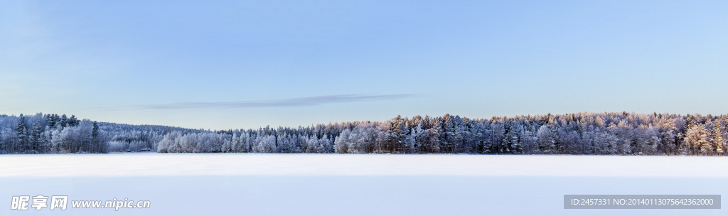 雪景