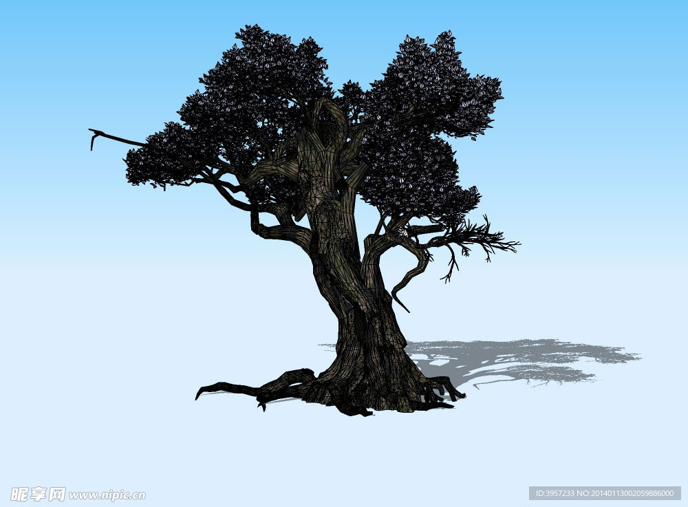 榕树3D模型