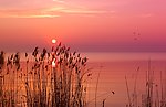 大海夕阳唯美