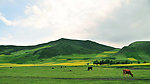 草原牧场