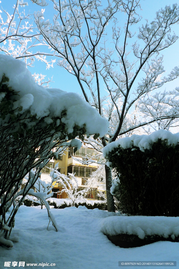 白雪