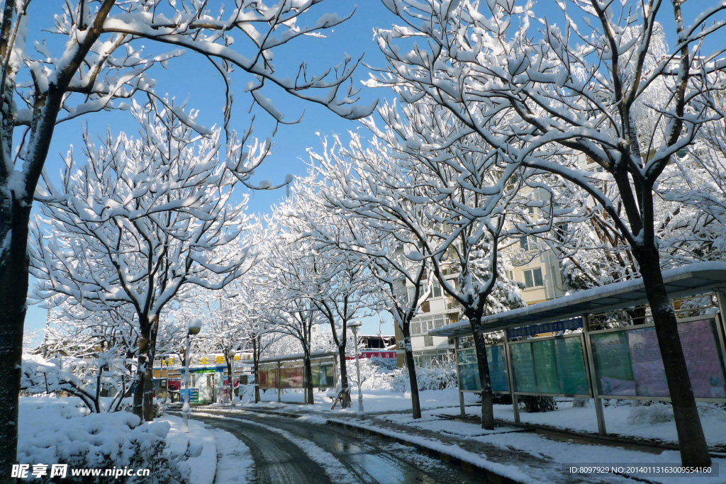 雪景