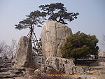 奥林匹克森林公园山顶